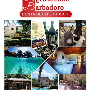 https://agriturismo-barbadoro.it-tuscanyhotel.com